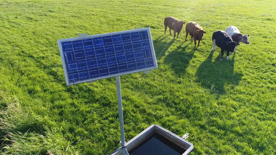 Solar powered pumps are perfect for cattle ranching